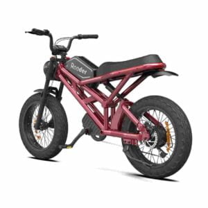 Tam Süspansiyonlu Ebike satılık toptan eşya fiyatı